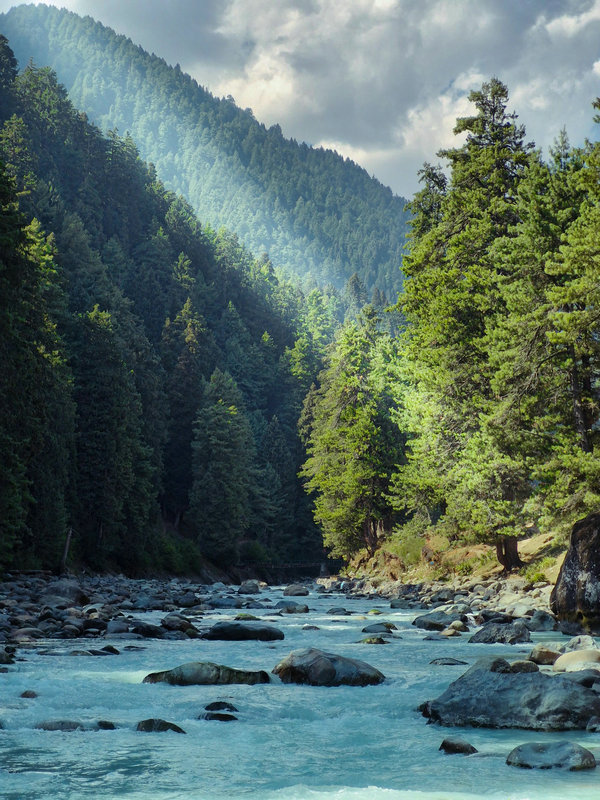 實(shí)驗(yàn)室水質(zhì)多參數(shù)測(cè)定儀 實(shí)驗(yàn)室水質(zhì)多參數(shù)測(cè)定儀