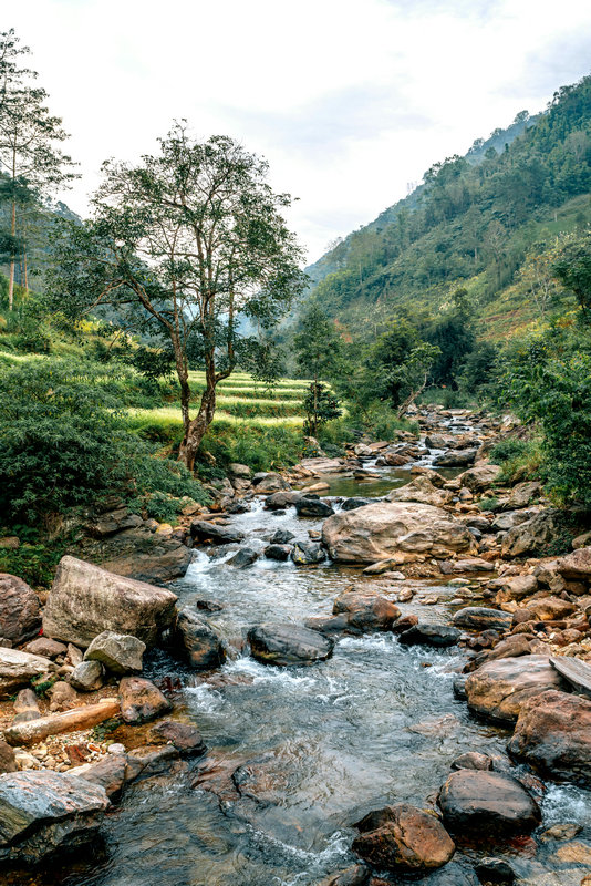 實(shí)驗(yàn)室色度測(cè)定儀 實(shí)驗(yàn)室色度測(cè)定儀